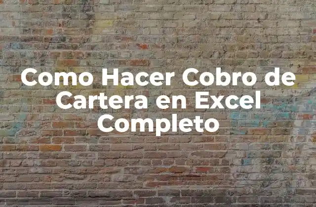 Como Hacer Cobro de Cartera en Excel Completo