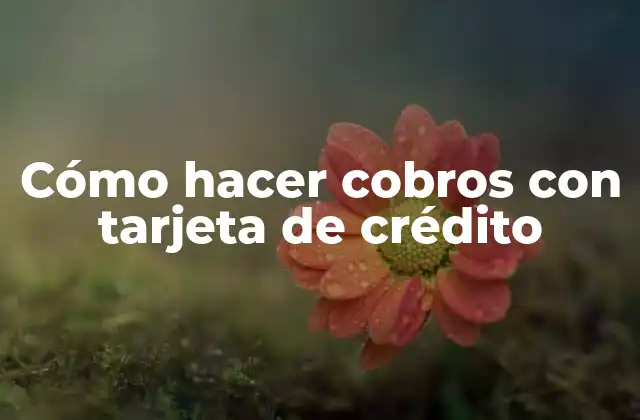 Cómo Hacer Cobros con Tarjeta de Crédito