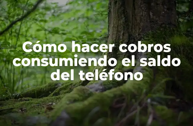 Cómo Hacer Cobros Consumiendo el Saldo Del Teléfono