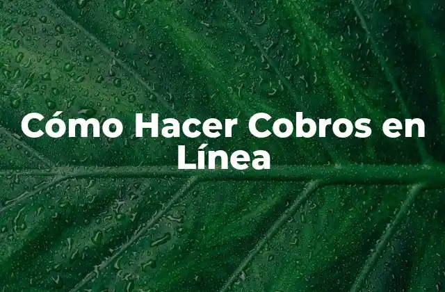 Cómo Hacer Cobros en Línea