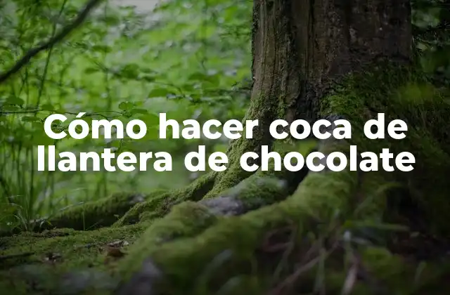 Cómo Hacer Coca de Llantera de Chocolate