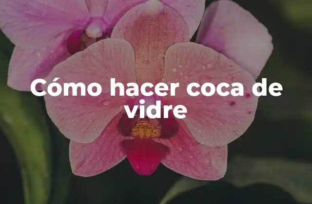 Cómo Hacer Coca de Vidre 2 Cómo hacer coca de vidre