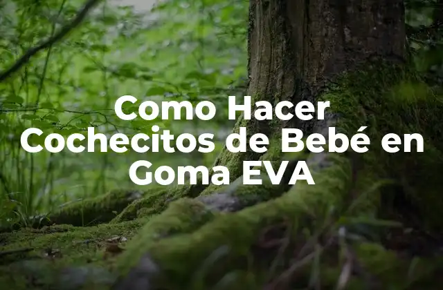 Como Hacer Cochecitos de Bebé en Goma Eva
