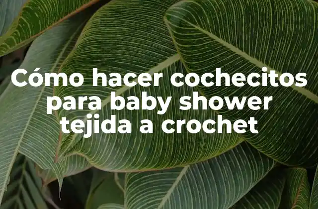 Cómo Hacer Cochecitos para Baby Shower Tejida a Crochet