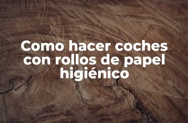 Como Hacer Coches con Rollos de Papel Higiénico 2 ¿Qué son los coches de rollos de papel higiénico?