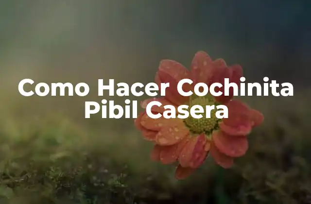 Como Hacer Cochinita Pibil Casera 2 ¿Qué es la Cochinita Pibil Casera?