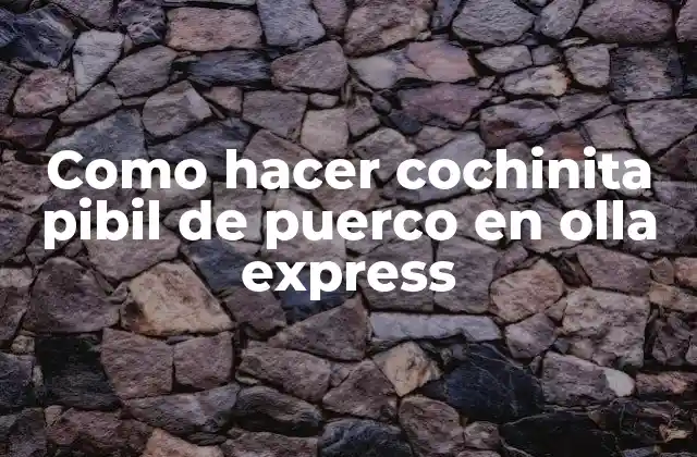 Como Hacer Cochinita Pibil de Puerco en Olla Express