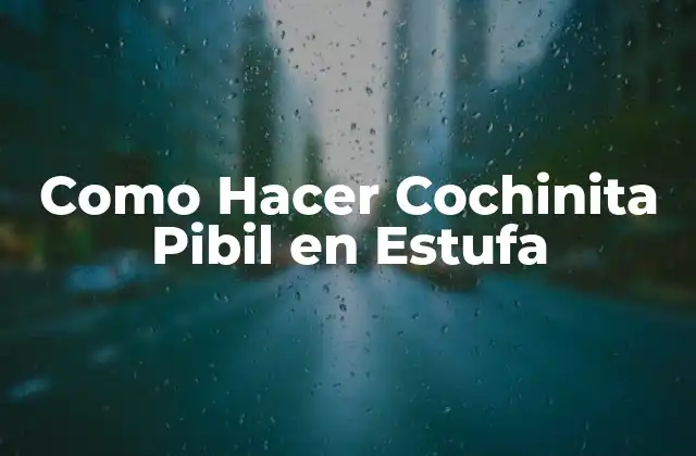 Como Hacer Cochinita Pibil en Estufa