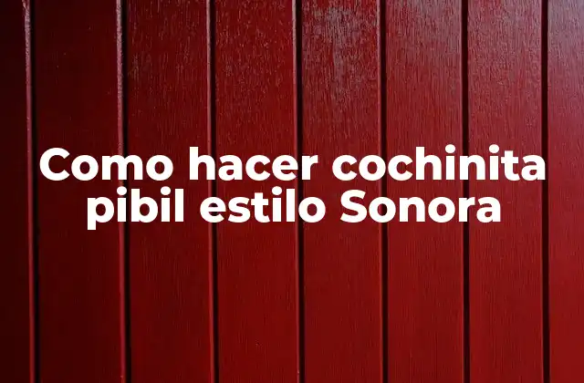 Como Hacer Cochinita Pibil Estilo Sonora