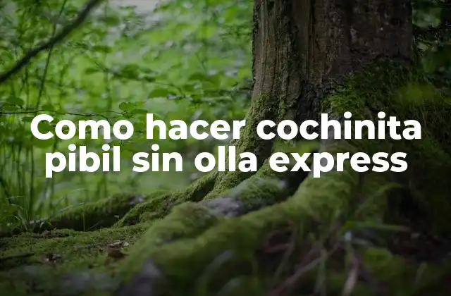 Como Hacer Cochinita Pibil sin Olla Express