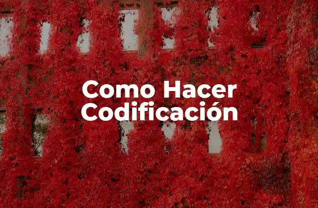 Como Hacer Codificación