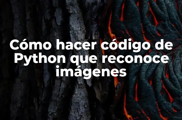 Cómo Hacer Código de Python que Reconoce Imágenes