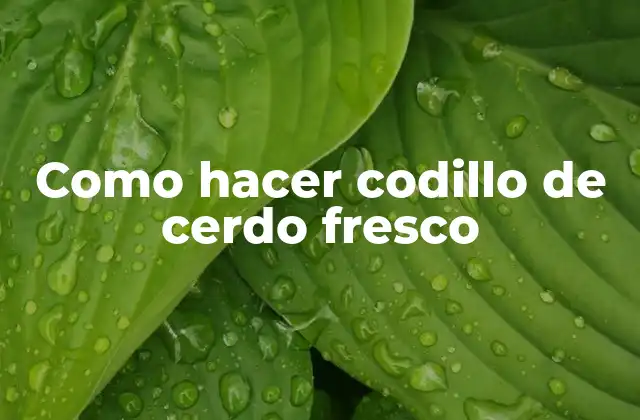 Como hacer codillo de cerdo fresco