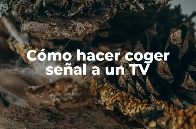 Cómo Hacer Coger Señal a un Tv