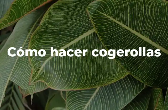 Cómo Hacer Cogerollas