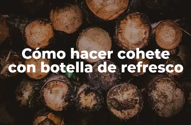 Cómo Hacer Cohete con Botella de Refresco 2 Qué es un cohete con botella de refresco y para qué sirve
