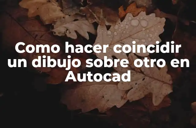 Como Hacer Coincidir un Dibujo sobre Otro en Autocad