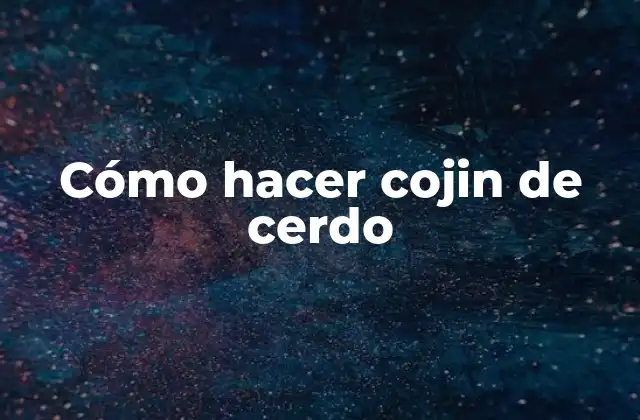 Cómo Hacer Cojin de Cerdo