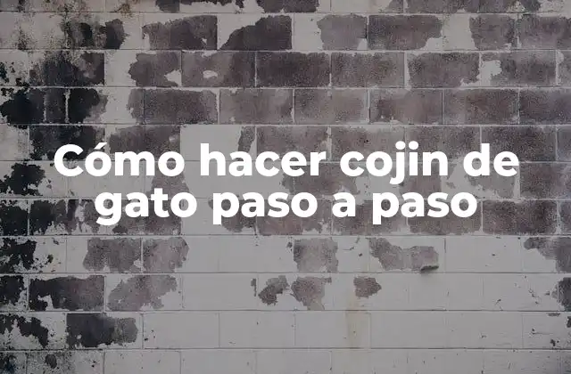 Cómo Hacer Cojin de Gato Paso a Paso