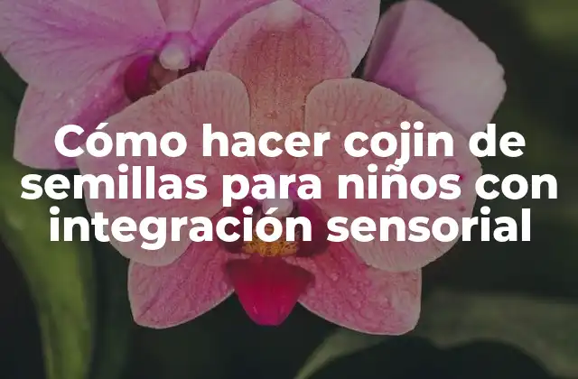 Cómo Hacer Cojin de Semillas para Niños con Integración Sensorial