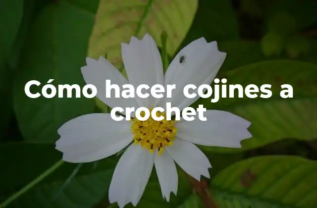 Cómo Hacer Cojines a Crochet