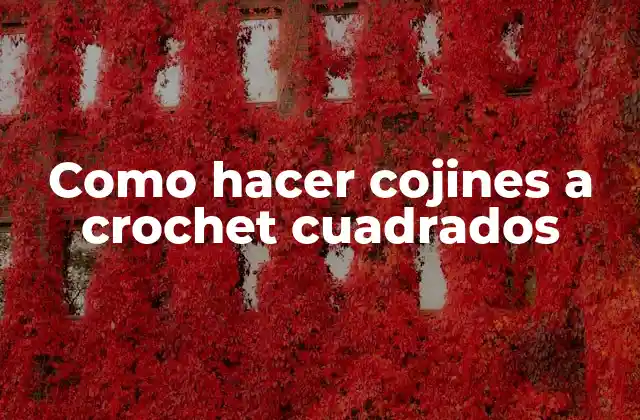 Como Hacer Cojines a Crochet Cuadrados