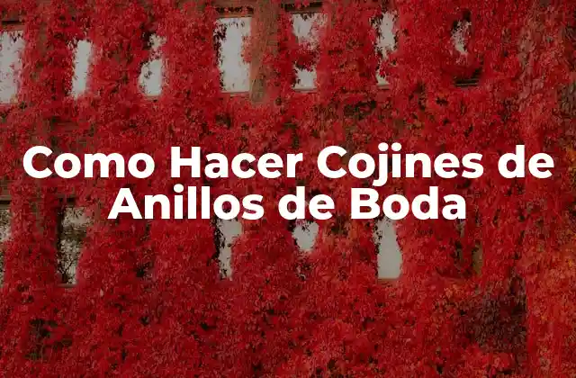 Como Hacer Cojines de Anillos de Boda