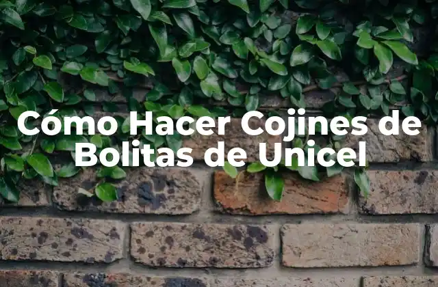 Cómo Hacer Cojines de Bolitas de Unicel