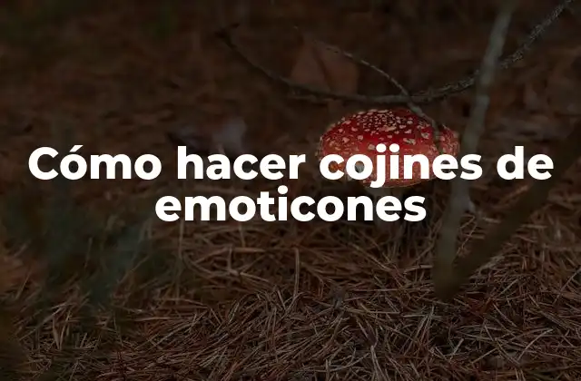 Cómo Hacer Cojines de Emoticones