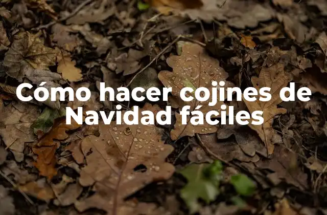 Cómo Hacer Cojines de Navidad Fáciles
