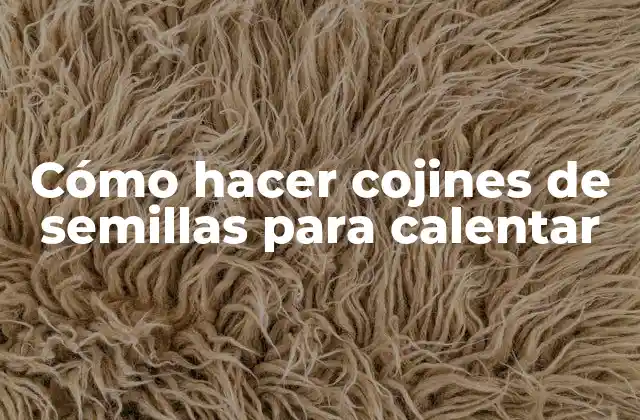 Cómo Hacer Cojines de Semillas para Calentar