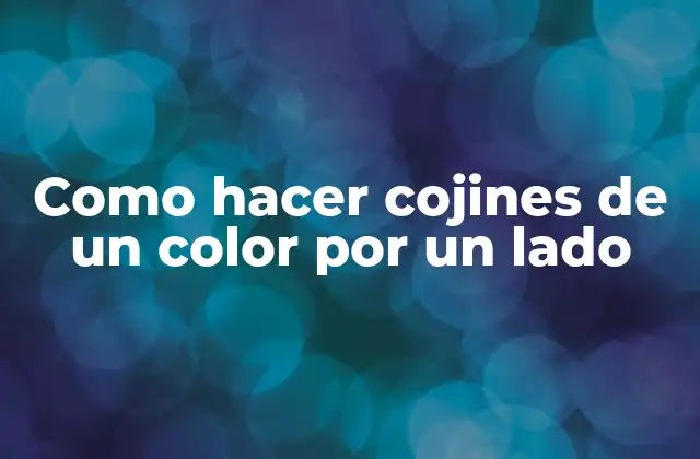 Como Hacer Cojines de un Color por un Lado