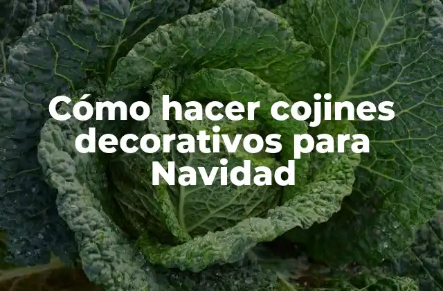 Cómo Hacer Cojines Decorativos para Navidad
