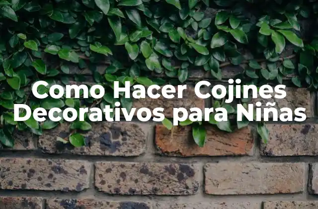 Como Hacer Cojines Decorativos para Niñas