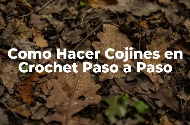 Como Hacer Cojines en Crochet Paso a Paso
