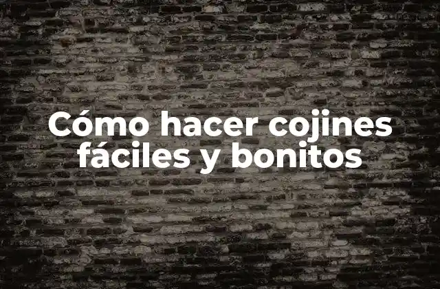 Cómo Hacer Cojines Fáciles y Bonitos