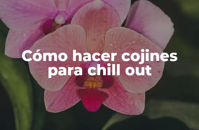 Cómo Hacer Cojines para Chill Out