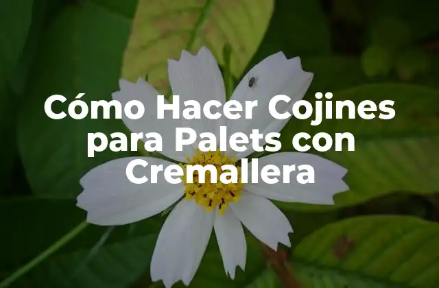 Cómo Hacer Cojines para Palets con Cremallera