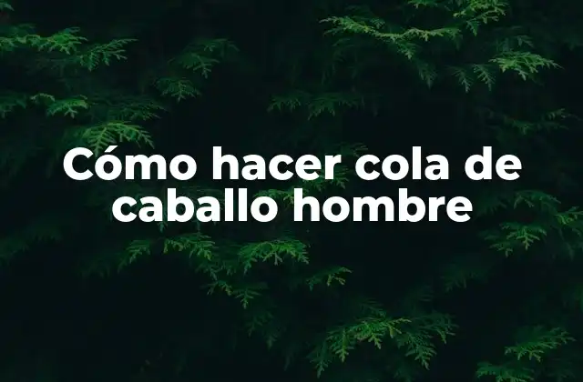 Cómo Hacer Cola de Caballo Hombre