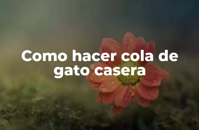 ¿Qué es la cola de gato casera?