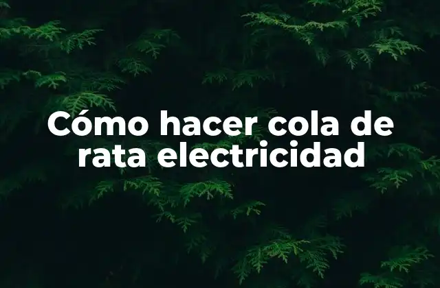 ¿Qué es la cola de rata electricidad?