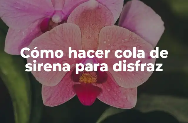 Cómo Hacer Cola de Sirena para Disfraz