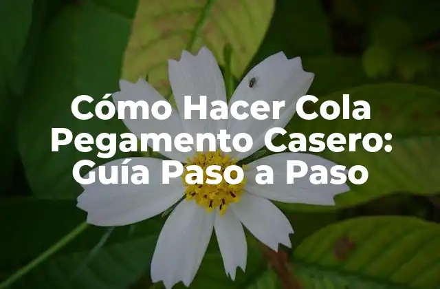 Cómo Hacer Cola Pegamento Casero: Guía Paso a Paso