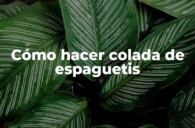 Cómo Hacer Colada de Espaguetis 2 ¿Qué es la colada de espaguetis?