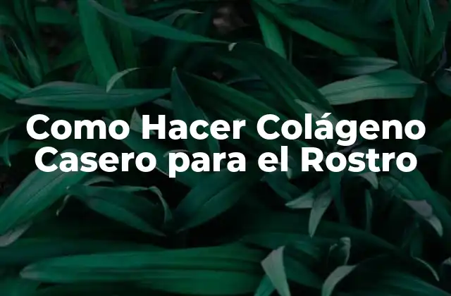Como Hacer Colágeno Casero para el Rostro