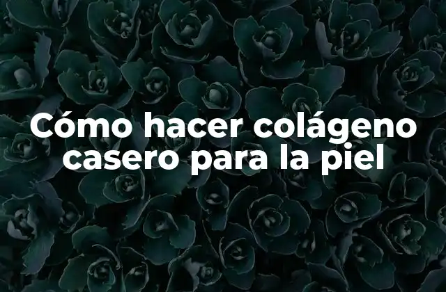 Cómo Hacer Colágeno Casero para la Piel