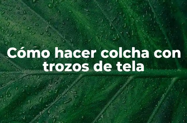 Cómo Hacer Colcha con Trozos de Tela 2 Cómo hacer colcha con trozos de tela