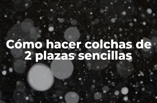 Cómo Hacer Colchas de 2 Plazas Sencillas