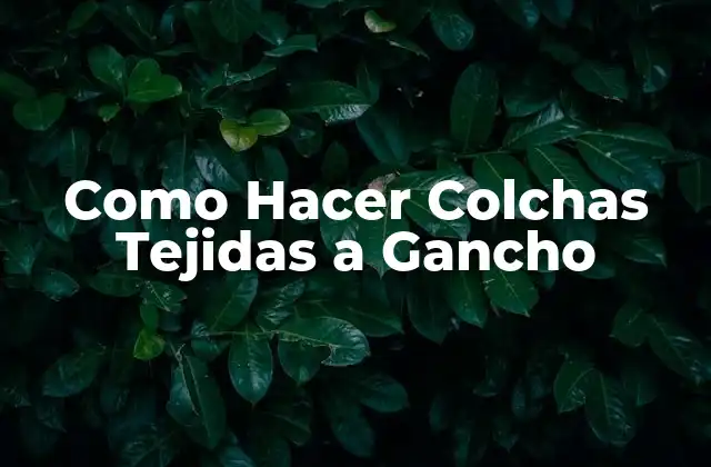Como Hacer Colchas Tejidas a Gancho