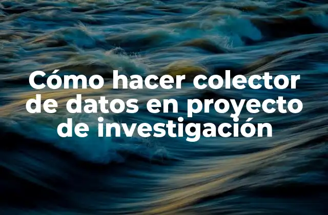 Cómo Hacer Colector de Datos en Proyecto de Investigación
